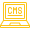 CMS Development